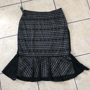 NWT Fit and Flare Skirt